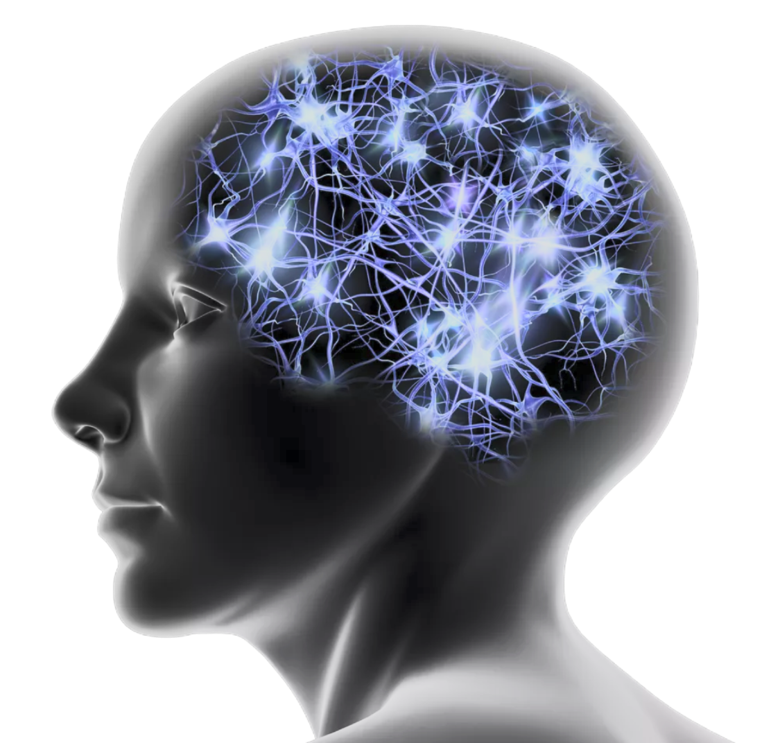 Neural Networks